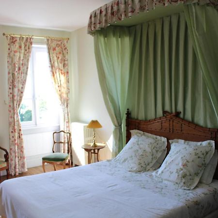 Thuré Chambres D'Hotes Le Chateau De La Plante מראה חיצוני תמונה
