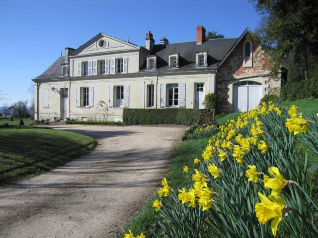 Thuré Chambres D'Hotes Le Chateau De La Plante מראה חיצוני תמונה