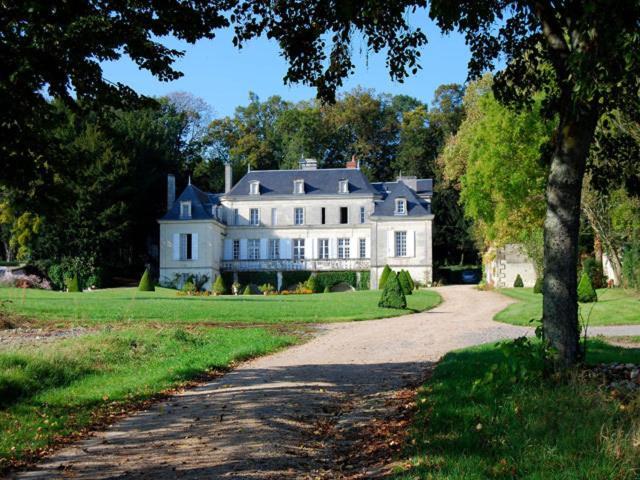 Thuré Chambres D'Hotes Le Chateau De La Plante מראה חיצוני תמונה