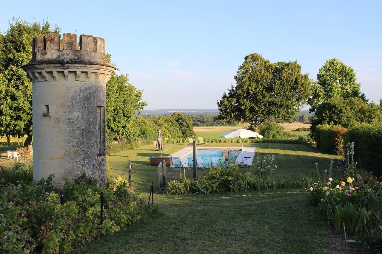 Thuré Chambres D'Hotes Le Chateau De La Plante מראה חיצוני תמונה